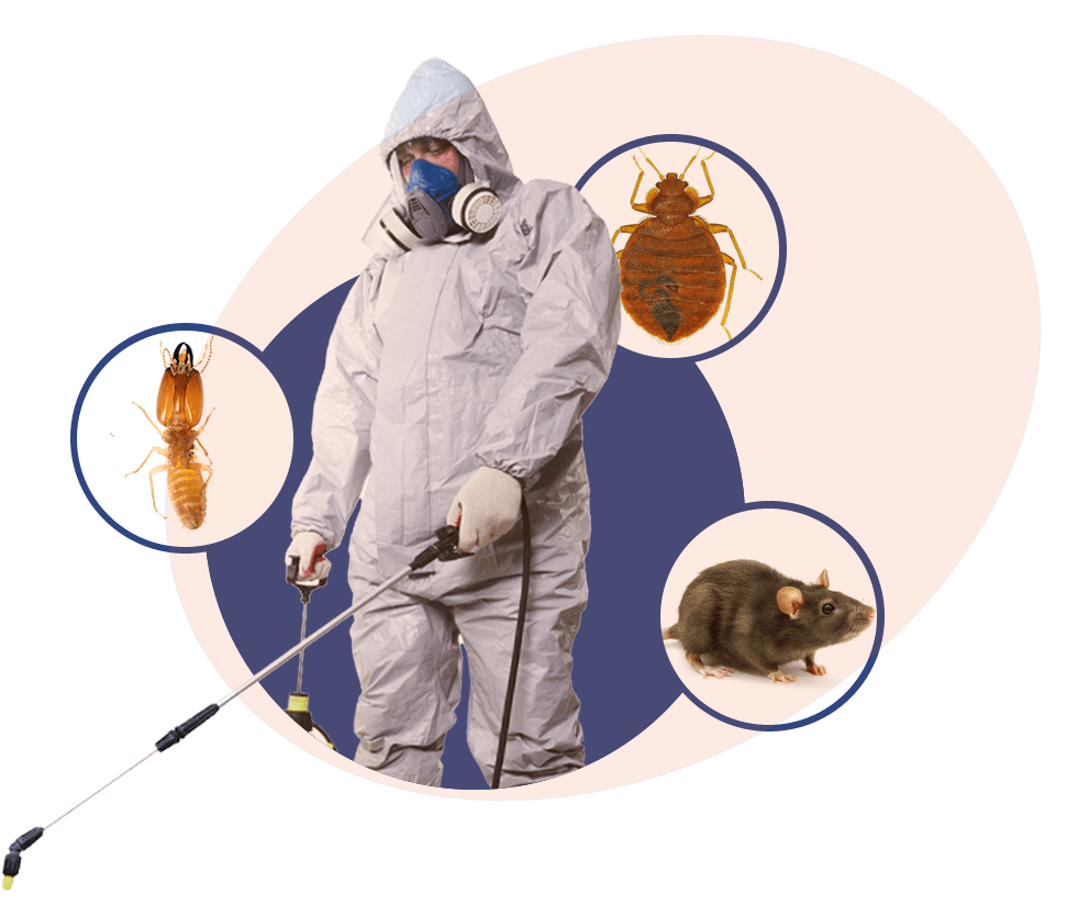 SEO for Pest Control