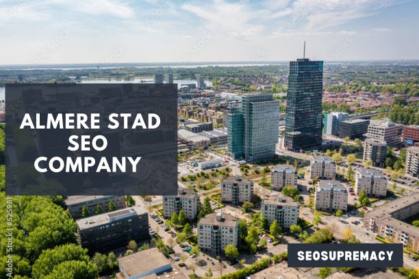 SEO Services In Almere Stad