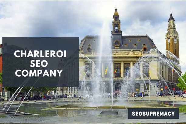 SEO Services In Charleroi