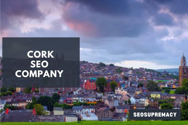 SEO Services In Cork