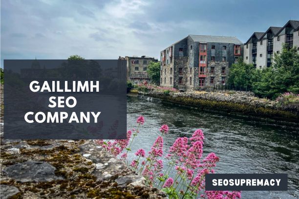 SEO Services In Gaillimh