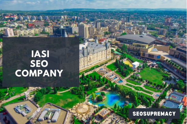 SEO Services In Iasi