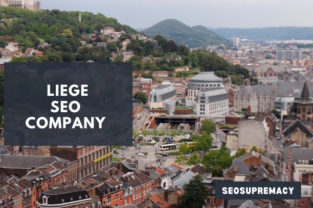 SEO Services In Liege