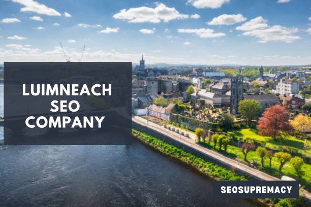 SEO Services In Luimneach