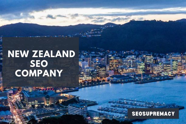 SEO Services In New Zealand