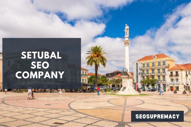 SEO Services In Setubal