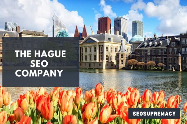 SEO Services In The Hague