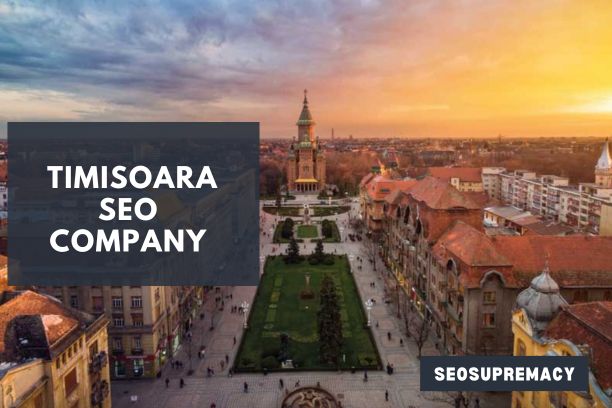 SEO Services In Timisoara