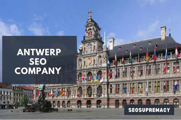 SEO Services In Antwerp