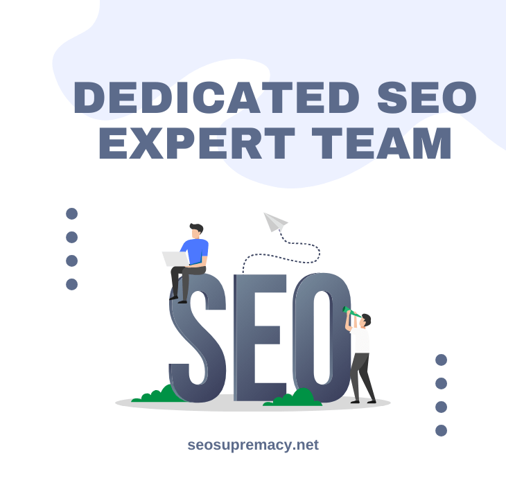 Dedicated SEO Expert Team