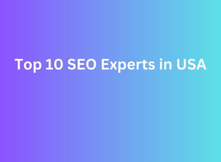 Top 10 SEO Experts in USA