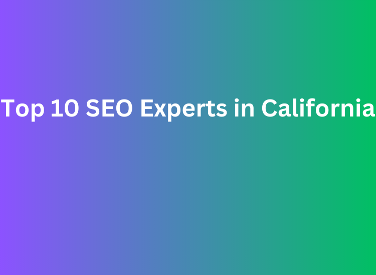 Top 10 SEO Experts in California