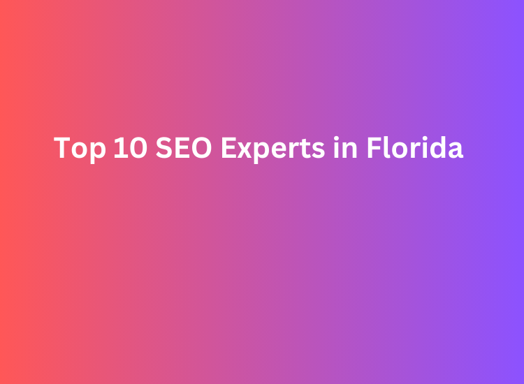 Top 10 SEO Experts in Florida