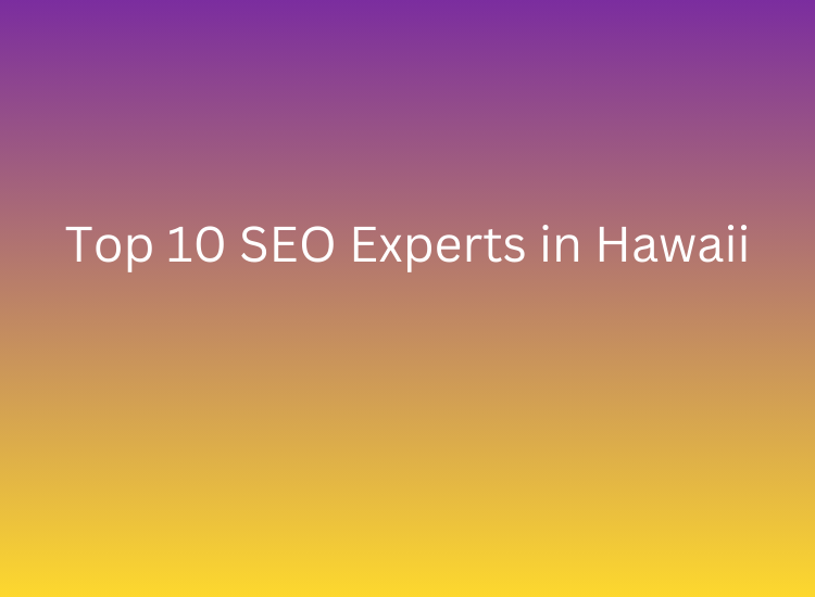 Top 10 SEO Experts in Hawaii