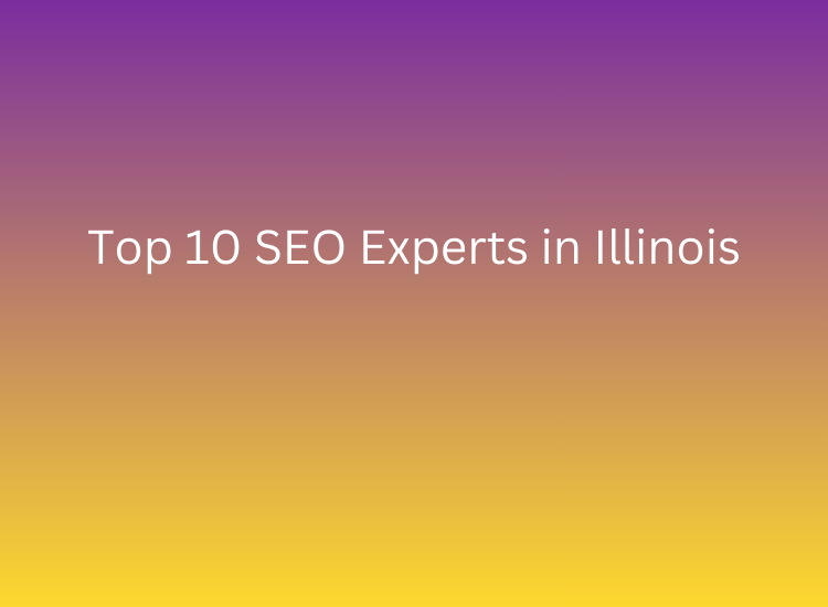 Top 10 SEO Experts in Illinois 2026